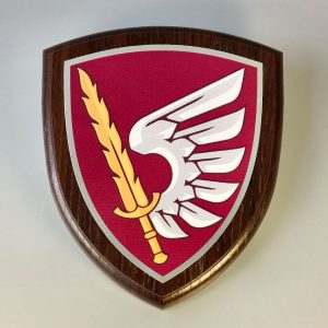 Шеврон 79 бригади